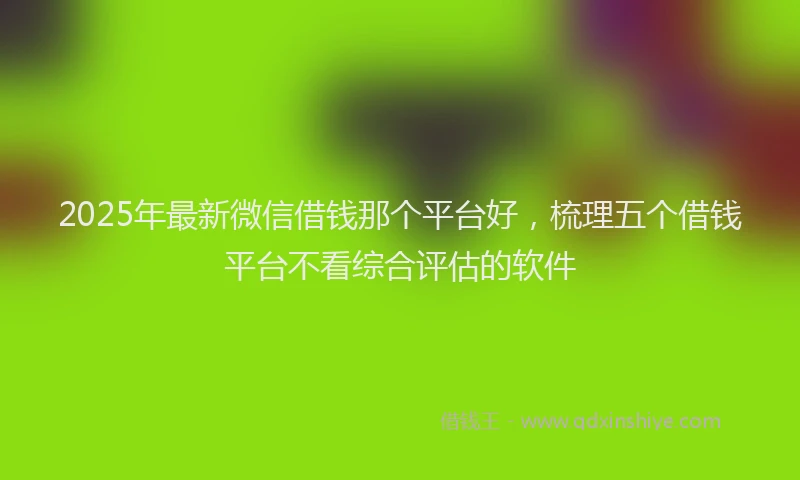 2025年最新微信借钱那个平台好，梳理五个借钱平台不看综合评估的软件
