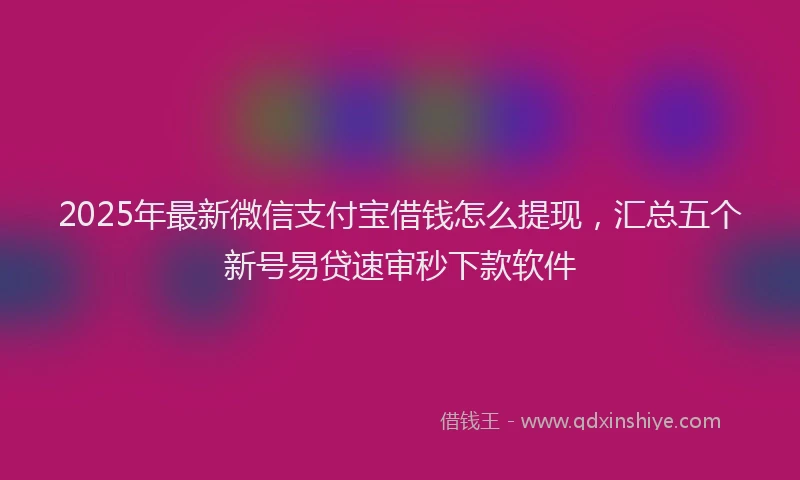 2025年最新微信支付宝借钱怎么提现，汇总五个新号易贷速审秒下款软件