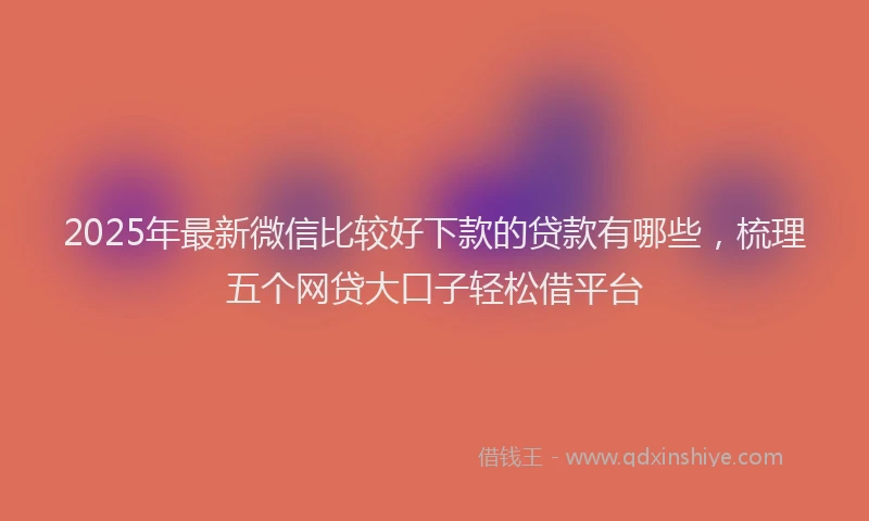 2025年最新微信比较好下款的贷款有哪些，梳理五个网贷大口子轻松借平台