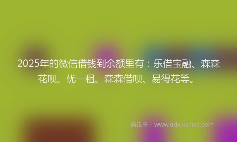 2025年的微信借钱到余额里有：乐借宝融、森森花呗、优一租、森森借呗、易得花等。