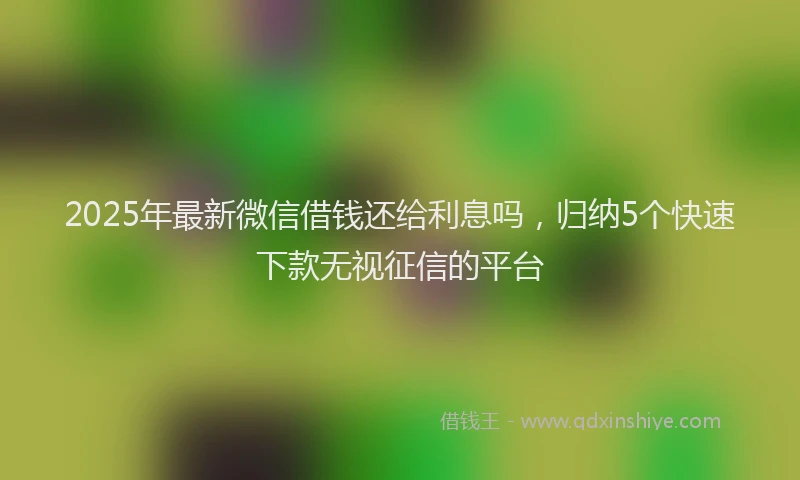 2025年最新微信借钱还给利息吗，归纳5个快速下款无视征信的平台