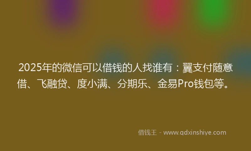 2025年的微信可以借钱的人找谁有：翼支付随意借、飞融贷、度小满、分期乐、金易Pro钱包等。