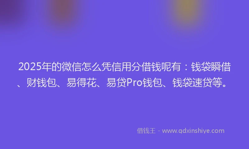 2025年的微信怎么凭信用分借钱呢有：钱袋瞬借、财钱包、易得花、易贷Pro钱包、钱袋速贷等。