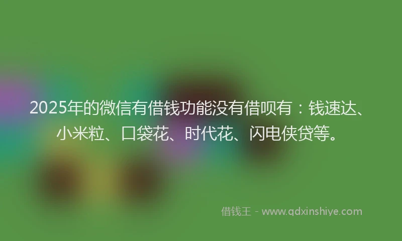 2025年的微信有借钱功能没有借呗有：钱速达、小米粒、口袋花、时代花、闪电侠贷等。