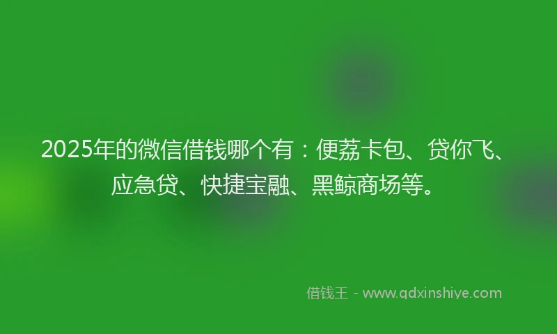 2025年的微信借钱哪个有：便荔卡包、贷你飞、应急贷、快捷宝融、黑鲸商场等。
