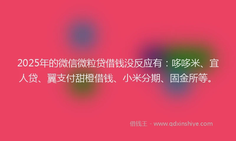 2025年的微信微粒贷借钱没反应有：哆哆米、宜人贷、翼支付甜橙借钱、小米分期、固金所等。