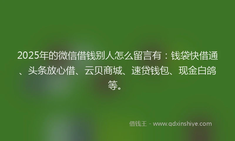 2025年的微信借钱别人怎么留言有：钱袋快借通、头条放心借、云贝商城、速贷钱包、现金白鸽等。