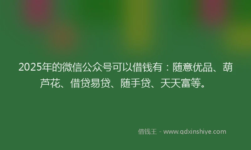 2025年的微信公众号可以借钱有：随意优品、葫芦花、借贷易贷、随手贷、天天富等。