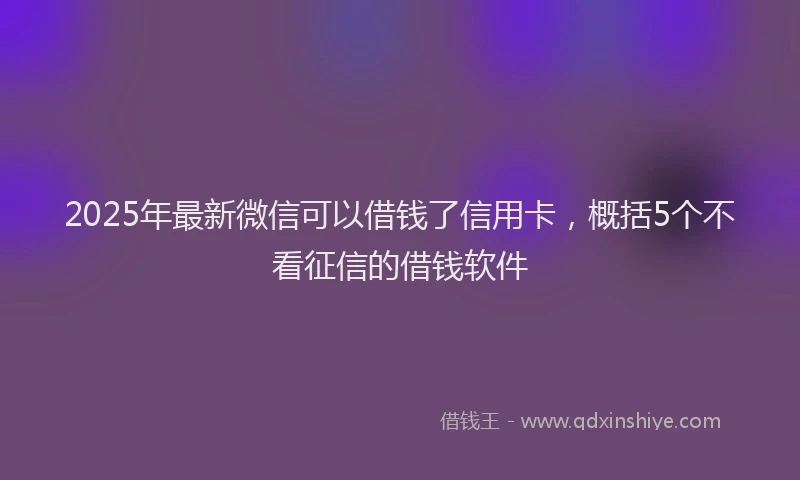 2025年最新微信可以借钱了信用卡，概括5个不看征信的借钱软件