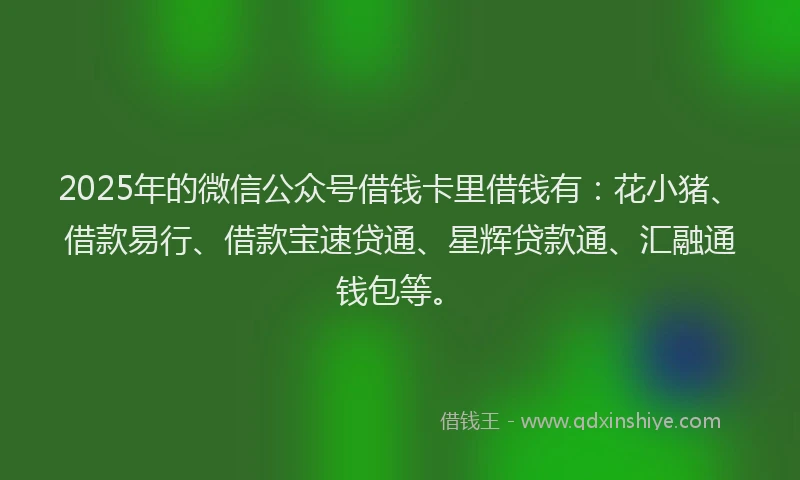 2025年的微信公众号借钱卡里借钱有：花小猪、借款易行、借款宝速贷通、星辉贷款通、汇融通钱包等。