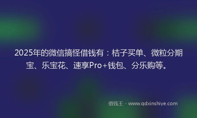 2025年的微信搞怪借钱有：桔子买单、微粒分期宝、乐宝花、速享Pro+钱包、分乐购等。