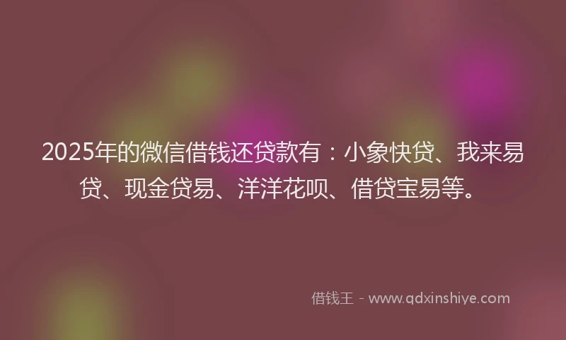 2025年的微信借钱还贷款有：小象快贷、我来易贷、现金贷易、洋洋花呗、借贷宝易等。