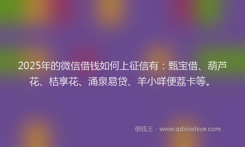 2025年的微信借钱如何上征信有：甄宝借、葫芦花、桔享花、涌泉易贷、羊小咩便荔卡等。