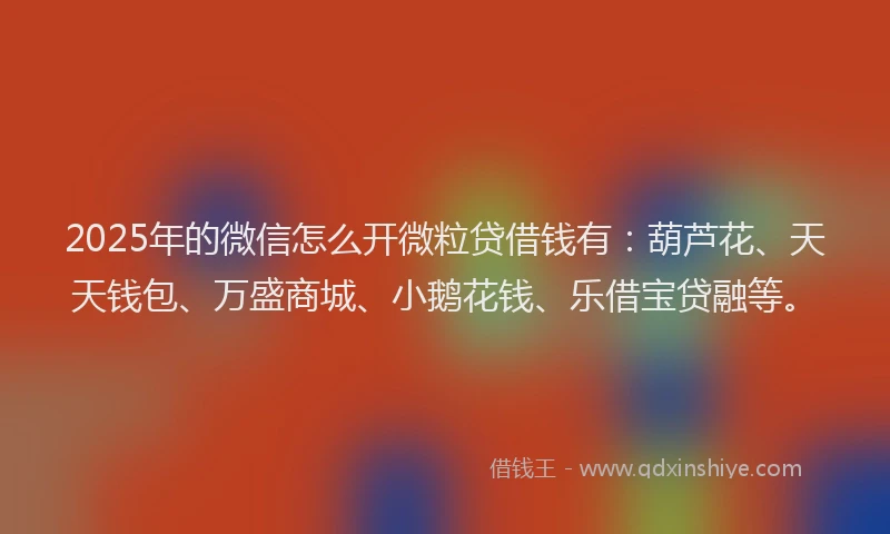 2025年的微信怎么开微粒贷借钱有：葫芦花、天天钱包、万盛商城、小鹅花钱、乐借宝贷融等。