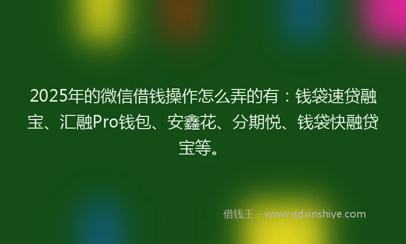 2025年的微信借钱操作怎么弄的有：钱袋速贷融宝、汇融Pro钱包、安鑫花、分期悦、钱袋快融贷宝等。