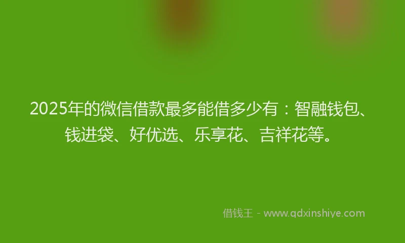 2025年的微信借款最多能借多少有：智融钱包、钱进袋、好优选、乐享花、吉祥花等。