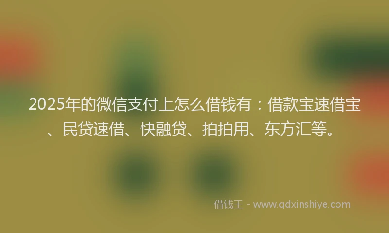 2025年的微信支付上怎么借钱有：借款宝速借宝、民贷速借、快融贷、拍拍用、东方汇等。