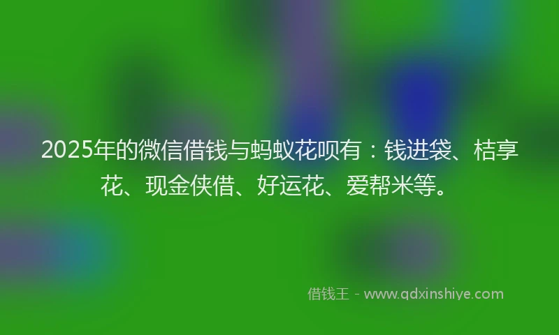 2025年的微信借钱与蚂蚁花呗有：钱进袋、桔享花、现金侠借、好运花、爱帮米等。