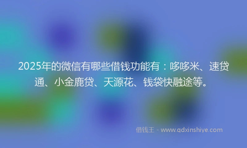 2025年的微信有哪些借钱功能有：哆哆米、速贷通、小金鹿贷、天源花、钱袋快融途等。