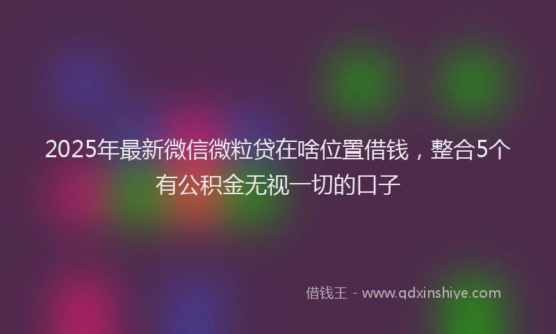 2025年最新微信微粒贷在啥位置借钱，整合5个有公积金无视一切的口子