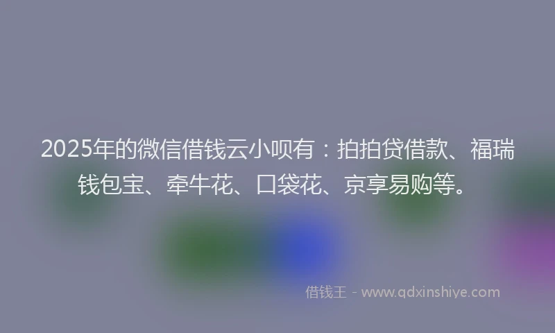 2025年的微信借钱云小呗有：拍拍贷借款、福瑞钱包宝、牵牛花、口袋花、京享易购等。