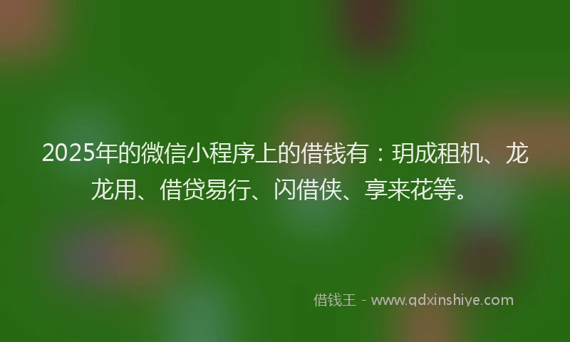 2025年的微信小程序上的借钱有：玥成租机、龙龙用、借贷易行、闪借侠、享来花等。