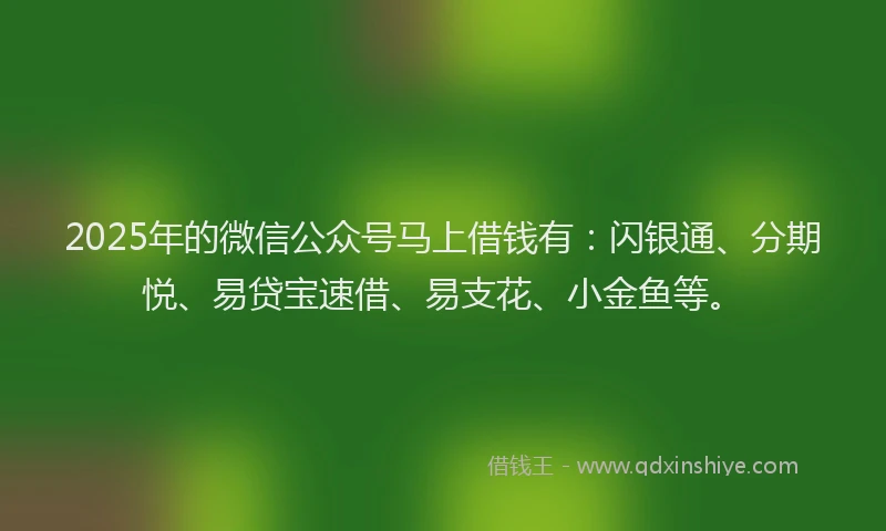 2025年的微信公众号马上借钱有：闪银通、分期悦、易贷宝速借、易支花、小金鱼等。
