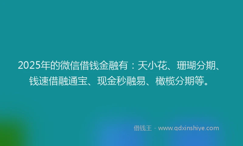 2025年的微信借钱金融有：天小花、珊瑚分期、钱速借融通宝、现金秒融易、橄榄分期等。