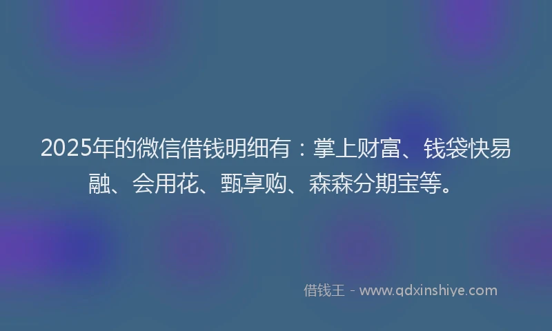 2025年的微信借钱明细有：掌上财富、钱袋快易融、会用花、甄享购、森森分期宝等。