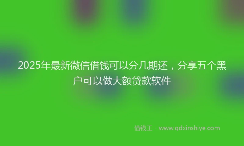 2025年最新微信借钱可以分几期还，分享五个黑户可以做大额贷款软件