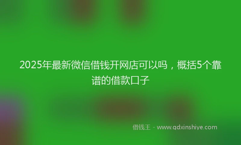 2025年最新微信借钱开网店可以吗，概括5个靠谱的借款口子