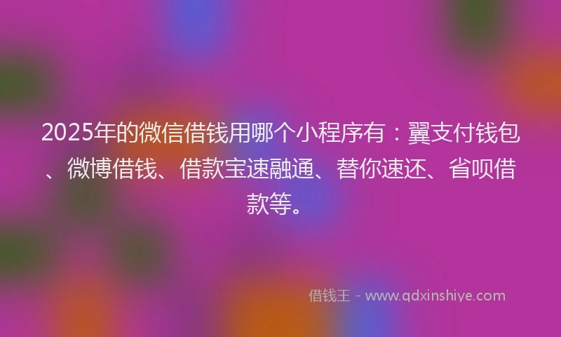 2025年的微信借钱用哪个小程序有:翼支付钱包、微博借钱、借款宝速融通、替你速还、省呗借款等。
