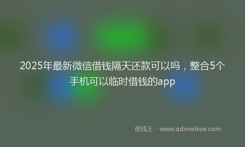 2025年最新微信借钱隔天还款可以吗，整合5个手机可以临时借钱的app