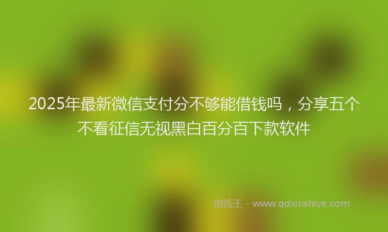 2025年最新微信支付分不够能借钱吗，分享五个不看征信无视黑白百分百下款软件