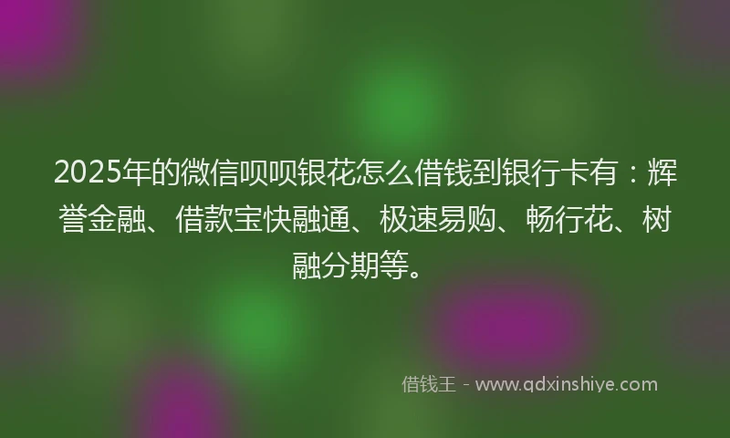 2025年的微信呗呗银花怎么借钱到银行卡有：辉誉金融、借款宝快融通、极速易购、畅行花、树融分期等。