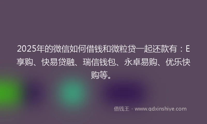 2025年的微信如何借钱和微粒贷一起还款有：E享购、快易贷融、瑞信钱包、永卓易购、优乐快购等。