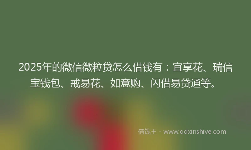 2025年的微信微粒贷怎么借钱有：宜享花、瑞信宝钱包、戒易花、如意购、闪借易贷通等。