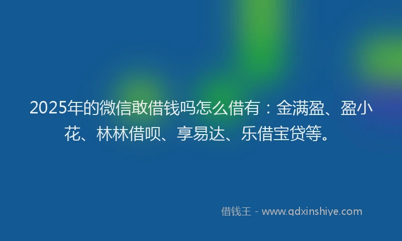 2025年的微信敢借钱吗怎么借有：金满盈、盈小花、林林借呗、享易达、乐借宝贷等。