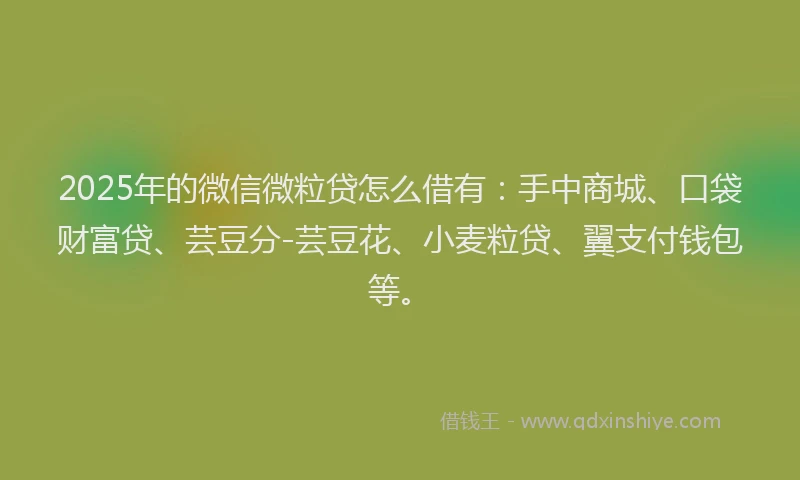 2025年的微信微粒贷怎么借有：手中商城、口袋财富贷、芸豆分-芸豆花、小麦粒贷、翼支付钱包等。