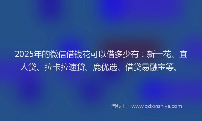 2025年的微信借钱花可以借多少有：新一花、宜人贷、拉卡拉速贷、鹿优选、借贷易融宝等。