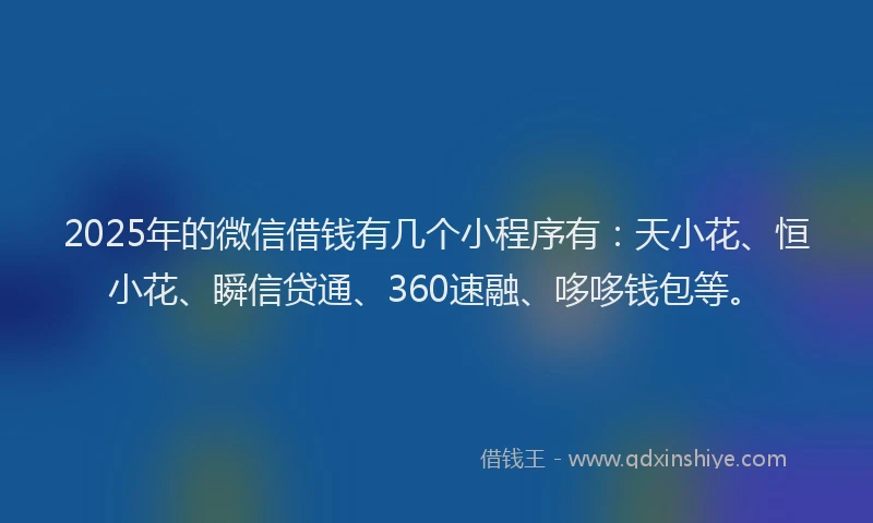 2025年的微信借钱有几个小程序有：天小花、恒小花、瞬信贷通、360速融、哆哆钱包等。