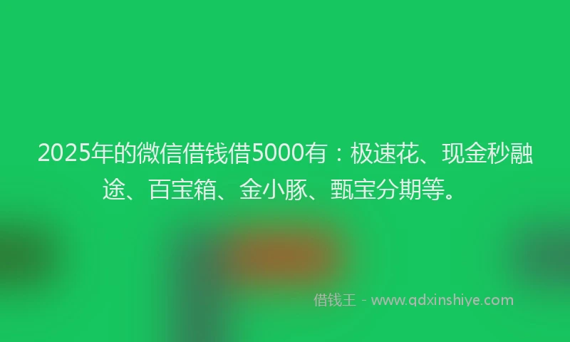 2025年的微信借钱借5000有：极速花、现金秒融途、百宝箱、金小豚、甄宝分期等。