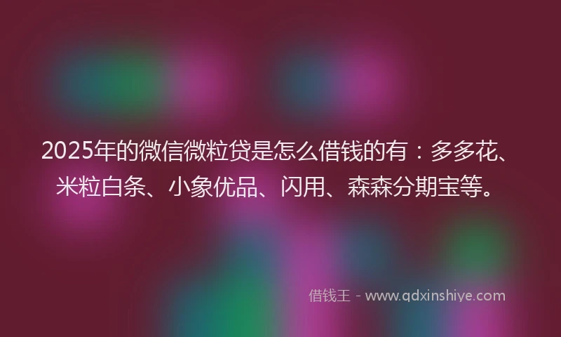 2025年的微信微粒贷是怎么借钱的有：多多花、米粒白条、小象优品、闪用、森森分期宝等。