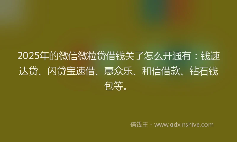2025年的微信微粒贷借钱关了怎么开通有:钱速达贷、闪贷宝速借、惠众乐、和信借款、钻石钱包等。