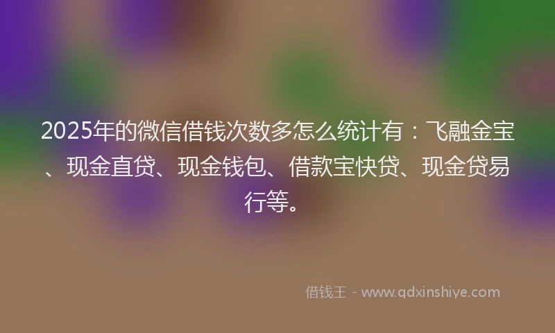 2025年的微信借钱次数多怎么统计有：飞融金宝、现金直贷、现金钱包、借款宝快贷、现金贷易行等。