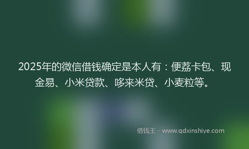 2025年的微信借钱确定是本人有：便荔卡包、现金易、小米贷款、哆来米贷、小麦粒等。