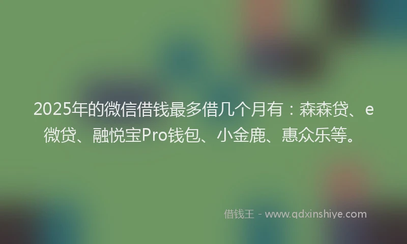 2025年的微信借钱最多借几个月有：森森贷、e微贷、融悦宝Pro钱包、小金鹿、惠众乐等。
