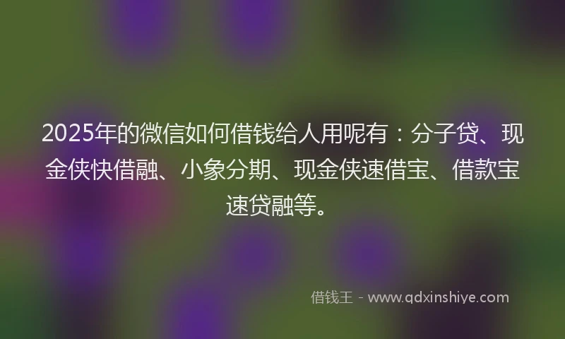 2025年的微信如何借钱给人用呢有：分子贷、现金侠快借融、小象分期、现金侠速借宝、借款宝速贷融等。