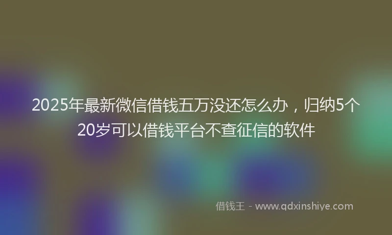 2025年最新微信借钱五万没还怎么办，归纳5个20岁可以借钱平台不查征信的软件