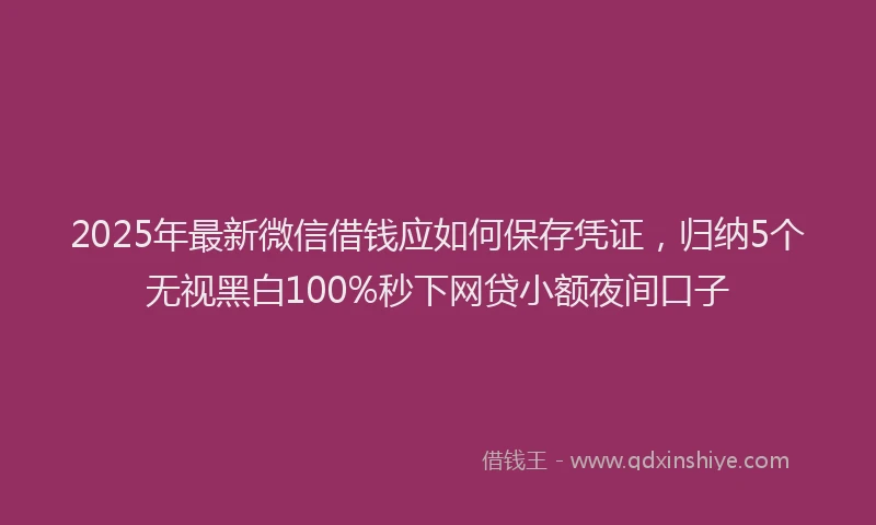 2025年最新微信借钱应如何保存凭证，归纳5个无视黑白100%秒下网贷小额夜间口子
